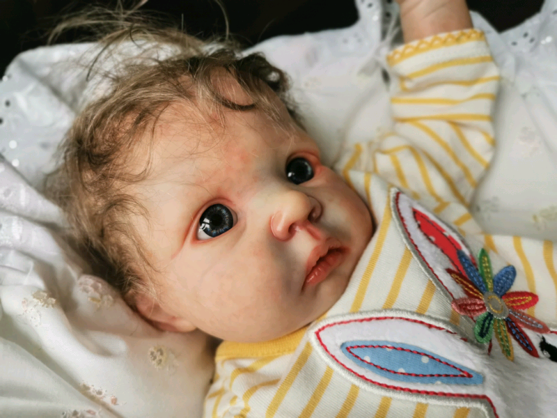 gumtree reborn baby dolls